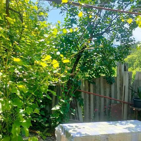 Guest House Gogias Cixe Bordschomi Exterior foto