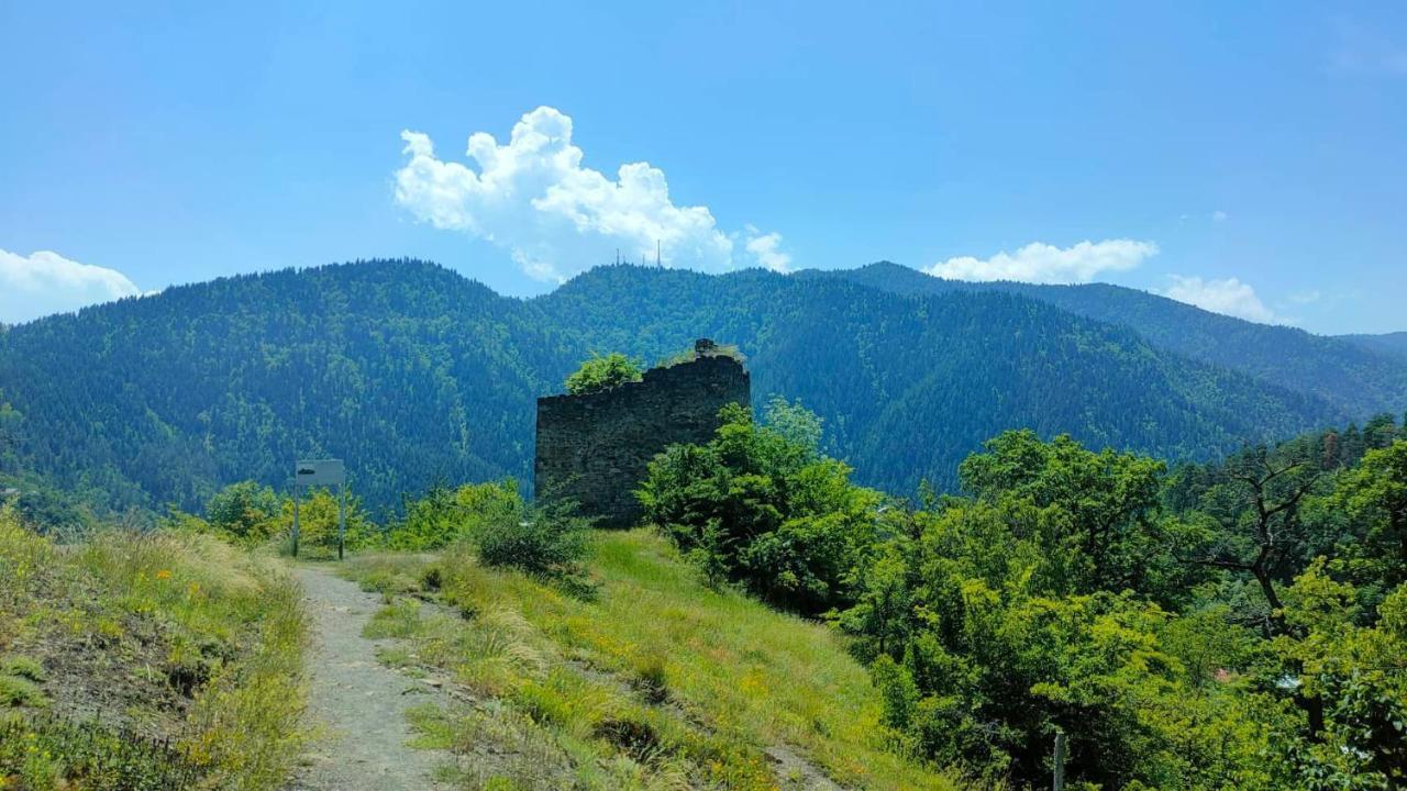 Guest House Gogias Cixe Bordschomi Exterior foto